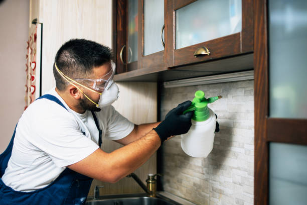 Trusted St Andrews, SC Pest Control Experts